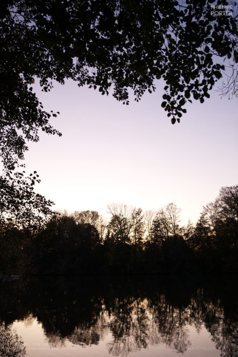 Bord de Seine, Chatou, Yvelines by Philippe Porter photographer